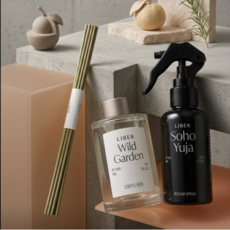 리베르 선물포장 룸스프레이&디퓨저 기프트 스틸 웨이브 &포레스트던, 1개, 200ml, 스틸 웨이브, 포레스트던