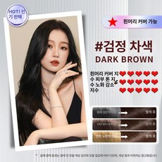 식물성 버블 염색약 백발 커버 가정용 헤어 컬러 염색 스틱, 블랙티 20팩+헤어 마스크 4팩, 1개, 1ml