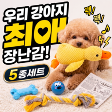 강아지 장난감 5종 세트, 옐로우+블루+화이트+블랙, 1세트