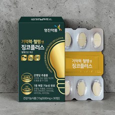 기억력혈행은행잎징코플러스30정 5박스, 30정