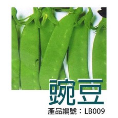 醬米資材 豌豆種子, 豌豆