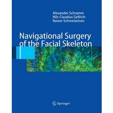 (영문도서) Navigational Surgery of the Facial Skeleton Paperback, Springer, English, 9783662517642
