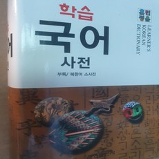 훈민정음 학습 국어사전/금성