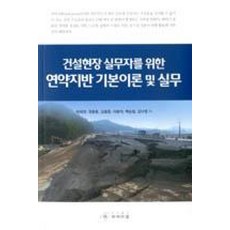 건설현장 실무자를 위한 연약지반 기본이론 및 실무, 씨아이알, 박태영 외 지음
