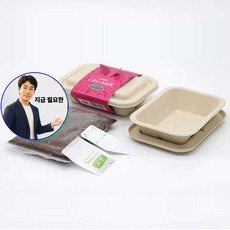 지금 필요한 나만의 키트 재배 알파파 야채 모음 텃밭 K31872EA, 본상품