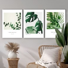 funyz 珍珠板纖薄畫框3件組 溫迪植物風