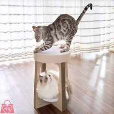 사심몰 고양이스크래쳐의자 스크래쳐고양이