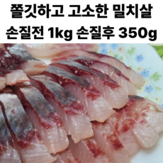 밀치회 밀치 숭어 자연산 회필렛, 1세트, 밀치 필렛 350g(손질전 1kg 내외)