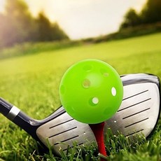 더휴즈 플라스틱 연습구 골프공 연습도구