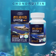 [루틴] 검증완료 콘드로이친 상어연골 x 2 뼈쑤심 콘드로이틴 콘도로이친1200