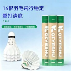 七葉樹 羽毛球 12入 16根羽片 耐打高彈 飛行穩定, 1個, 12個裝, 白色