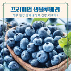 [믿고먹는]프리미엄 생 블루베리 16mm이상특과 항공직송 친환경 제철탱글신선함, 1개, 125gx2팩