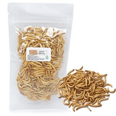 도치퀸 동결건조 밀웜 약 500마리, 20g, 1개