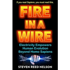 (英文圖書)Fire in a Wire: Electricity Empowers Human Evolution Beyond Homo Sapiens 平裝版, Massaemett Media, 英文