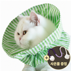 [speedmong] 목편한 초경량 시야 확보 반려동물 편안한 넥카라 고양이 강아지 깔대기 중성화, 민트그린, 1세트