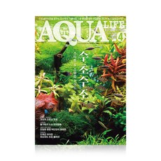 2026년 아쿠아라이프 4월호 [수초수조 스타트 스텝업 가이드], 단품, 단품