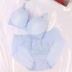 [비너스] 페일 블루 와이어 더블윙 브라팬티세트 / A-C컵