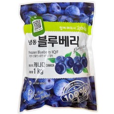 냉동 블루베리 1kg, 1개