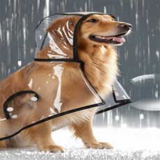 해자몰 중대형견 우비 개비옷, L