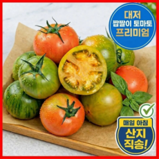 [초특가] 단짠단짠 대저짭짤이토마토 당일수확 산지직송, 1박스, 2.5kg (S-2s)