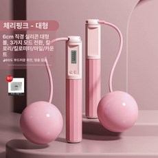 운동기구 복부 운동 허리 홈짐 하체 옆구리 가정용 홈트, 1개, 핑크 대형 볼 모델 보관 가방