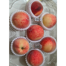 새콤달콤 진한 복숭향 신비복숭아 백도복숭아 천도복숭아, 1개, 백도복숭아 2kg