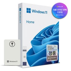 [한국MS정품인증점] 윈도우 11 Windows Home FPP 처음사용자용 USB 영구 버전 제품키, HAJ-00095