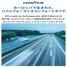 굿이어 225/45R17 94W 유럽 출생의 컴포트 EfficientGrip Performance 2 05627727 1개 운동 성능・웨트 라이