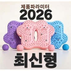 발바닥 바운스번 지압 스텝퍼 에어스텝퍼 실내운동, 핑크