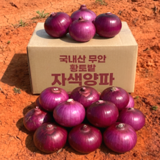 국내산 명품 무안 햇 자색양파, 1박스, 3kg(대사이즈)