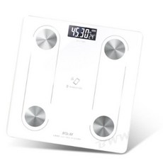 NDr.AV 聖岡科技 智能藍牙 體重計 BT-102i 0.2 180kg, 1個