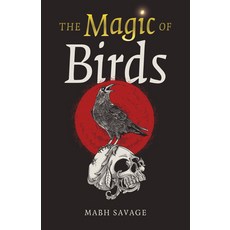 (영문도서)The Magic of Birds Paperback, Moon Books, English, 9781803410609