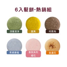 陳怡安植萃洗髮餅禮盒 60gx6入, 1個, 熱銷禮盒-深層/薑/首烏/青黛/櫻/金盞