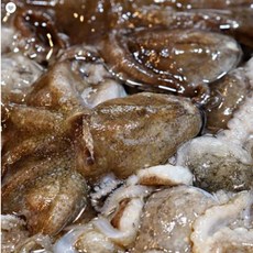 중국산급냉쭈꾸미1kg [아이스박스+아이스팩 포장] / [빙장포장] 산지직송 신선배송, 1개, 1