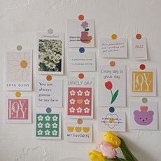 인테리어 엽서 인스타감성 데이지 꽃 엽서 카드 15종세트