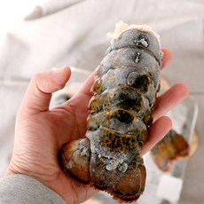랍스타테일 4oz 1미 (110~120g) 캐나다산, 1개