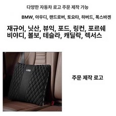 차량용 이불 자동차 테슬라 망토 2in1 무릎