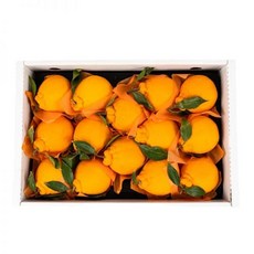 제주 한라봉 5kg 268477