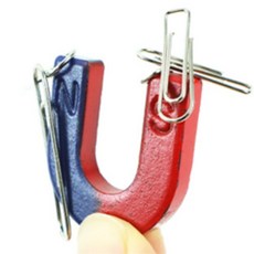 어반블루 말굽자석 자석실험교구