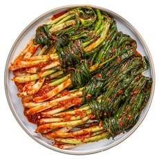 [어사김치] 전라도식 쪽파 파김치 1kg 2kg (국산), 3kg, 1개