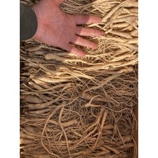 도라지묘 1년생 1kg 금산도라지모종 종근 약 2평 식재 가능, 1.도라지, 1개