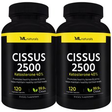 [미국빠른직구] 마이라이프 내추럴스 시서스 2500 케토스테론 40% 120정 2병, 2개
