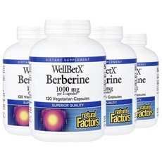[4병] 내추럴팩터스 베르베린 500mg 120캡슐 매자나무 추출물 Berberine, 120정, 4개