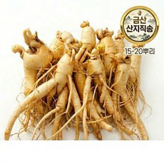 금산직송 수삼 인삼 생삼 15-20뿌리 삼계탕용 튀김용 세척인삼, 1개, 500g
