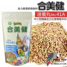 合美健 41A 蔬果滋養丸 中小型鸚鵡專用 全方位營養餐, 1個