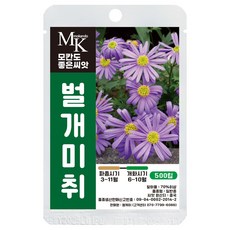 모칸도 좋은씨앗 벌개미취 씨앗 일반종 500립 약용꽃씨 꽃씨앗, 1개