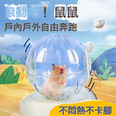 倉鼠跑球解悶玩具靜音運動球金絲熊滾球滾輪超大跑步球戶外球, 1個, 倉鼠跑步球  13cm藍色:+閃光燈【碰撞閃光防丟失】✓✦