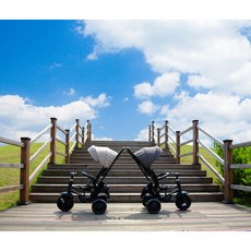 삼천리 노블레스 유아용 세발자전거 CA800, 블랙, 1개