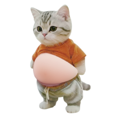 시바견 고양이 스티커 문콕 충돌방지 자파믹스 말랑이 장난감, 뱃살고양이, 2개