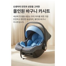 신생아 바구니 카시트 0-12개월 165도 척추보호 바운서 겸용, 레드